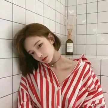 雌雌大盗
